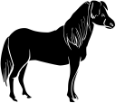Horse Clipart