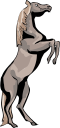 Horse Clipart
