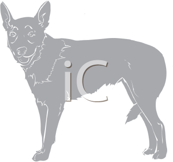 Pet Clipart