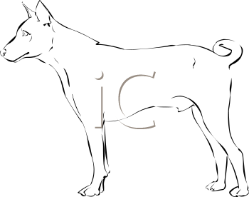 Pet Clipart