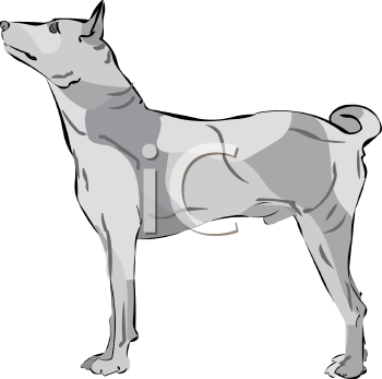 Pet Clipart