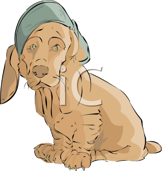 Pet Clipart
