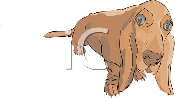 Pet Clipart