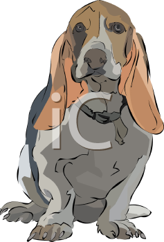 Pet Clipart