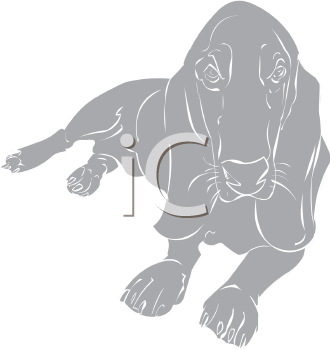 Pet Clipart