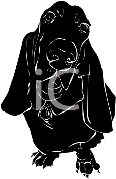 Pet Clipart