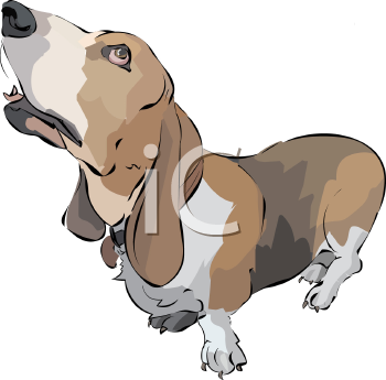 Pet Clipart