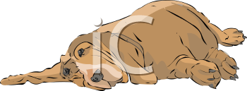 Pet Clipart