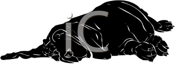 Pet Clipart
