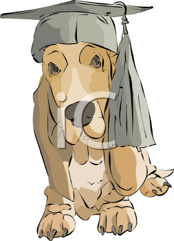 Pet Clipart