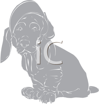 Pet Clipart
