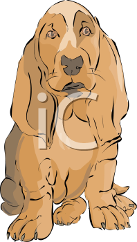 Pet Clipart