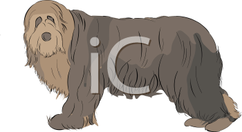 Dog Clipart