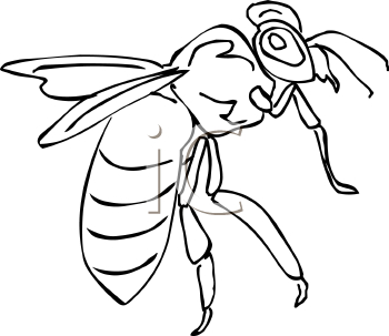 Insect Clipart