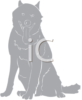 Pet Clipart