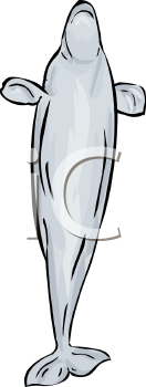 Fish and Sealife Clipart