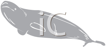 Fish and Sea Life Clipart