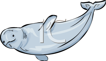 Fish and Sea Life Clipart