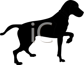 Pet Clipart