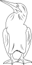 Bird Clipart