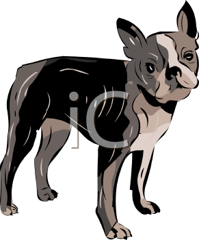 Dog Clipart
