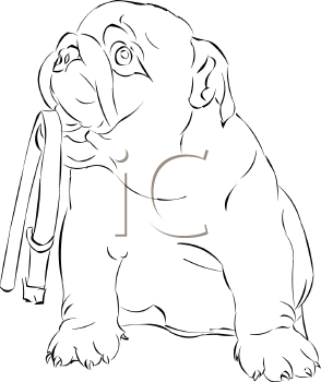 Pet Clipart