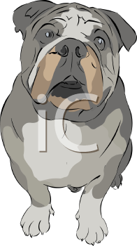 Dog Clipart
