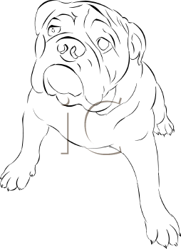 Pet Clipart
