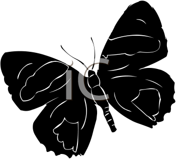 Insect Clipart