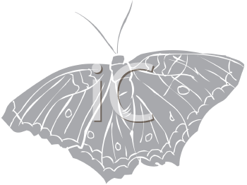 Insect Clipart