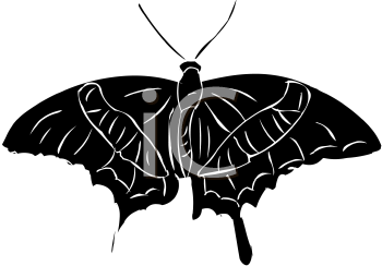 Insect Clipart