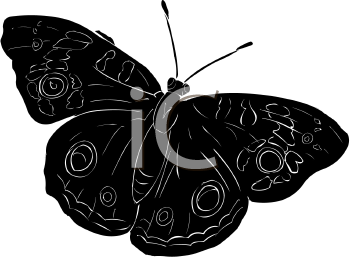 Insect Clipart