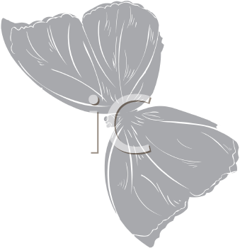 Insect Clipart
