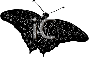 Insect Clipart