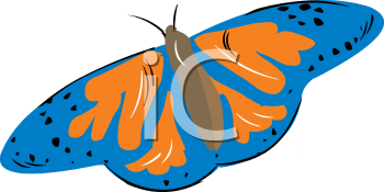 Insect Clipart