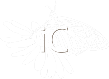 Insect Clipart