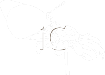 Insect Clipart