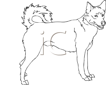 Pet Clipart