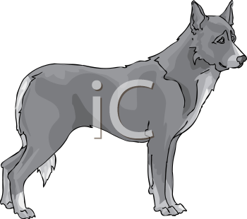Pet Clipart