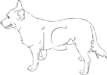 Pet Clipart