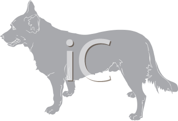 Pet Clipart