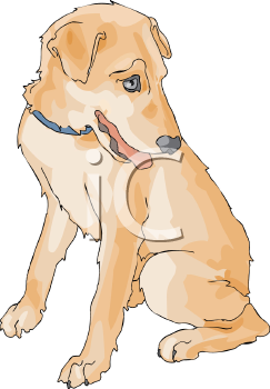 Pet Clipart