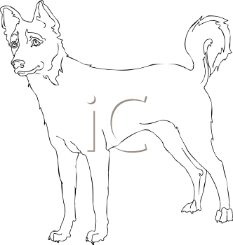Pet Clipart
