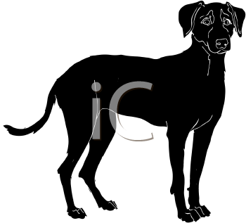 Pet Clipart