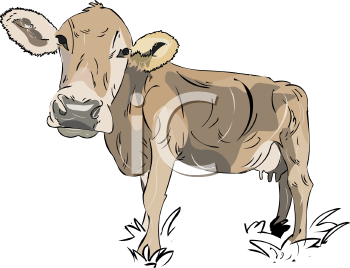 Farm Animal Clipart