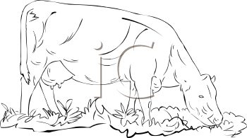 Farm Animal Clipart