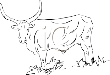 Farm Animal Clipart