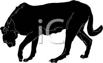 Big Cat Clipart
