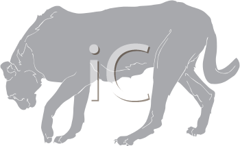 Big Cat Clipart