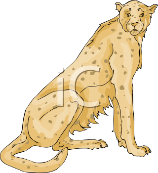 Big Cat Clipart